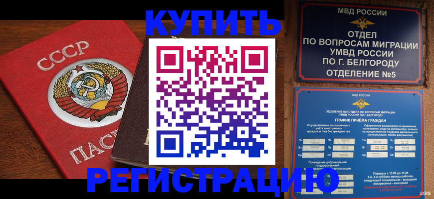 прописка для работы в Мыски